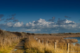 Zwischen Binnensee und Ostsee / Zwischen Binnensee und Ostsee in der Nähe von Behrensdorf