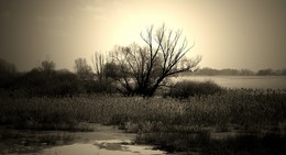 Winter im Oderbruch / Das Oderbruch (von mhd. bruoch: ‚Sumpf‘, ‚Moor‘) ist ein Binnendelta der Oder im Landkreis Märkisch-Oderland des Bundeslandes Brandenburg und Polen.
https://de.wikipedia.org/wiki/Oderbruch