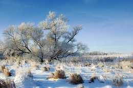 Morgendämmerung, Frost / ***