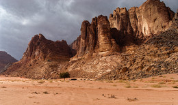 Bedouin / ***