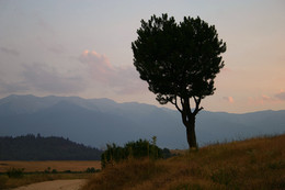 Pirin , Bulgarien / ***