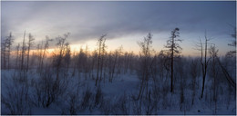 Polarnacht in Taimyr / ***