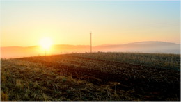 Auf dem Feld / ***