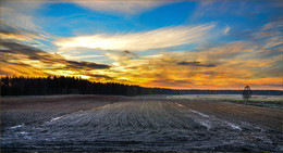 Auf dem Feld / ***