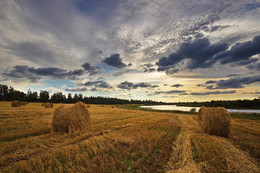 Auf dem Feld / ***