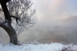 Morgendämmerung, Nebel , Frost / ***
