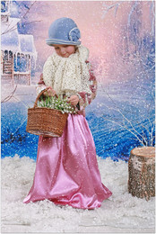 Wintermärchen / ***