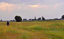 Dorf im Sommer / ***