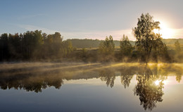 Morgendämmerung, Nebel / ***