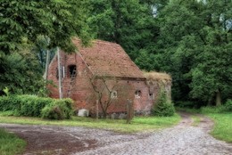 Ein kleines Haus am Wald / ***