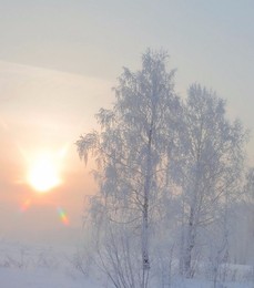 Frost und Sonne ........ / ***