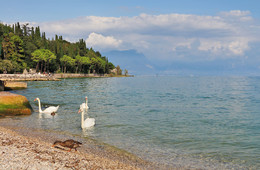 Gardasee / ***