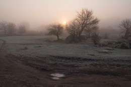 Frosty der Morgendämmerung. / ***