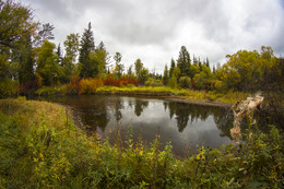 Siberian Herbst / ***