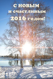 Frohes Neues Jahr! / ***