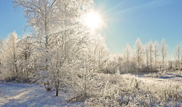 Sonnenbaden / ***