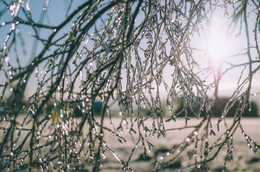 Winter in Belarus / ***