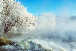 Winter, Nebel, Frost / ***