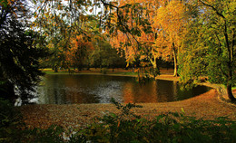 Herbst Theatre / ***