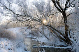 Morgendämmerung, Nebel, Frost .. / ***