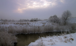 Winter, Morgendämmerung, Nebel / ***