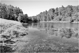 Monochrome Landschaft / ***