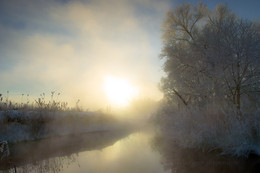 Morgendämmerung, Nebel , Frost / ***