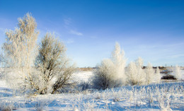 Winter Frost .... / ***