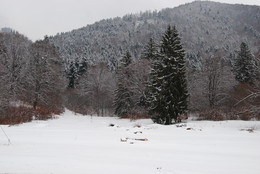 Farbe Weiß / Miercurea Ciuc