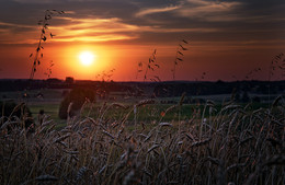 Masurian sunset / Picture taken in the northeast of Poland