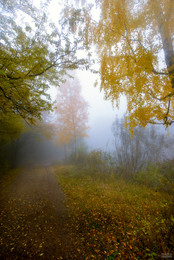 Die Dekoration der Herbstnebel / ***