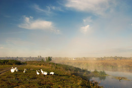 Herbst, Morgendämmerung, Nebel ... / ***