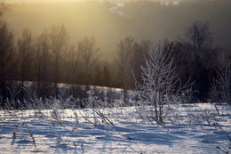 Im Licht der Sonne. / ***