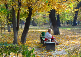 Herbst des Lebens .... / ***