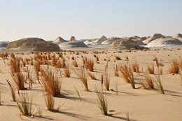 Weiße Wüste / Ägypten