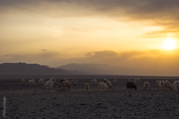Sunset Desert Mongolia / 3 Tes sum, Umnugovi province, Mongolia