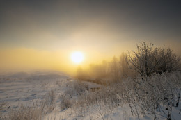 Morgendämmerung, Nebel, Frost .. / ***