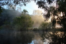 Reim des Morgenlichts / ***