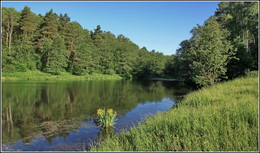 Sommerlandschaft / ***