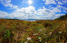 Unter dem blauen Himmel / ***