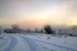 Morgendämmerung, Nebel, Frost .. / ***