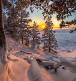 Wald am Ufer des Ladoga-See / ***