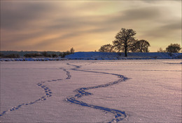 Winterspaziergang. / ***