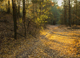 In Erinnerung an die Herbst / ***