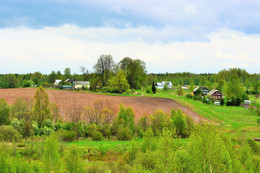 Frühling im Dorf ... / ***