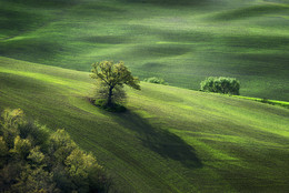 Tuscany / Tuscanian landscape near Pienza