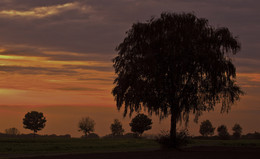 ABENDSTIMMUNG / Abendstimmung vor den Toren meiner Heimatstadt Olfen im Münsterland.