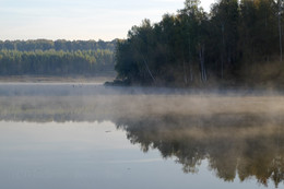 Morgendämmerung, Nebel / ***