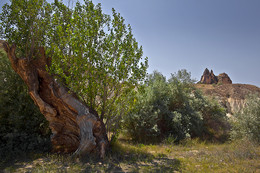 KAPPADOKIEN / Kappadokien, Ein Paradies für NATURFOTOGRAFEN (und andere).