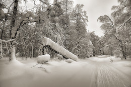 Winterlandschaft / ***